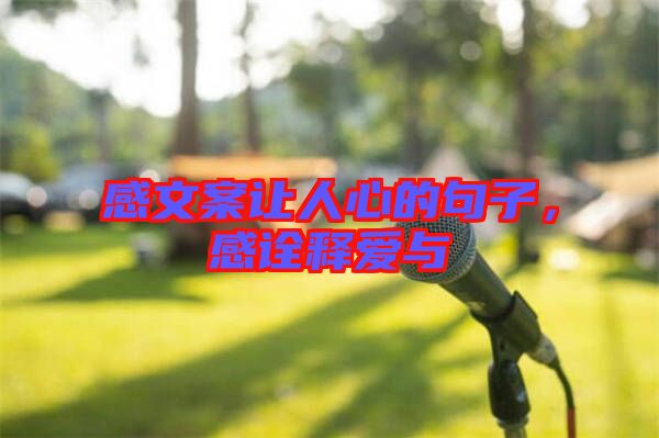 感文案讓人心的句子，感詮釋愛與