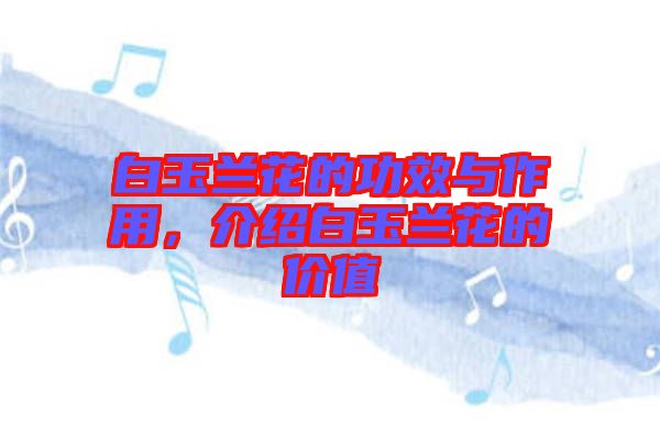 白玉蘭花的功效與作用，介紹白玉蘭花的價值