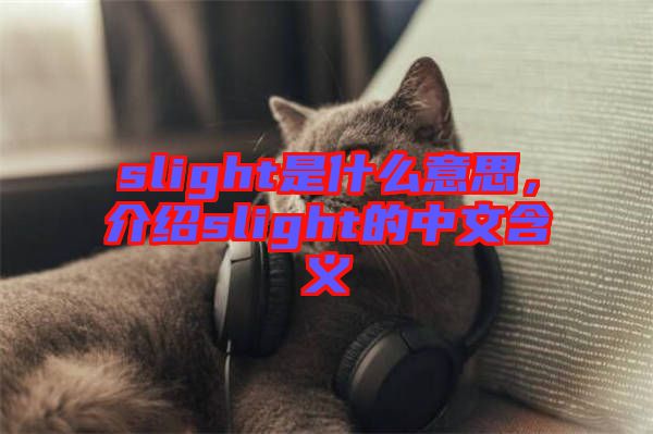 slight是什么意思，介紹slight的中文含義