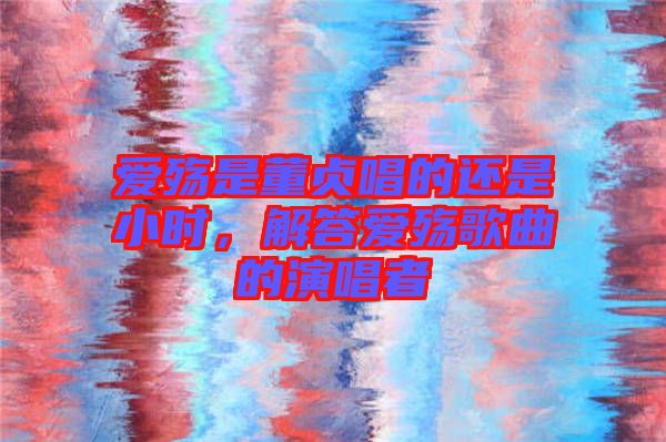 愛殤是董貞唱的還是小時(shí)，解答愛殤歌曲的演唱者