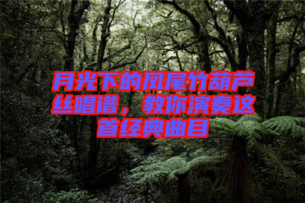 月光下的鳳尾竹葫蘆絲唱譜，教你演奏這首經(jīng)典曲目
