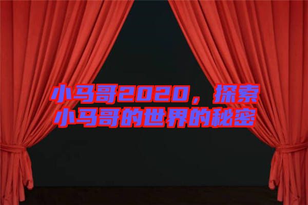 小馬哥2020，探索小馬哥的世界的秘密