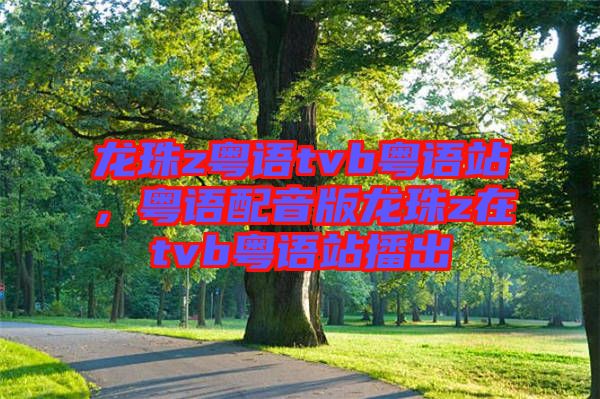 龍珠z粵語tvb粵語站，粵語配音版龍珠z在tvb粵語站播出