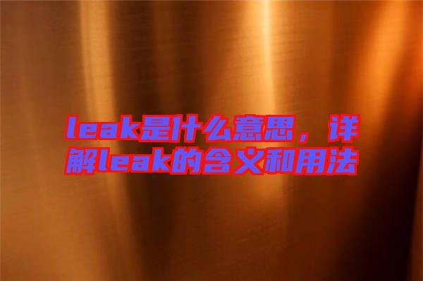 leak是什么意思，詳解leak的含義和用法