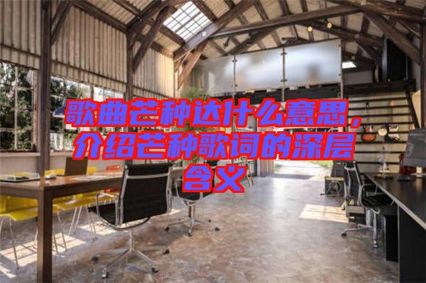 歌曲芒種達什么意思，介紹芒種歌詞的深層含義