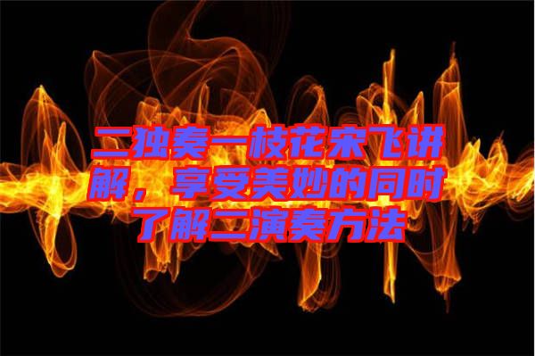 二獨(dú)奏一枝花宋飛講解，享受美妙的同時(shí)了解二演奏方法