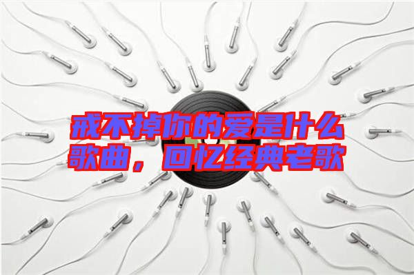 戒不掉你的愛(ài)是什么歌曲，回憶經(jīng)典老歌