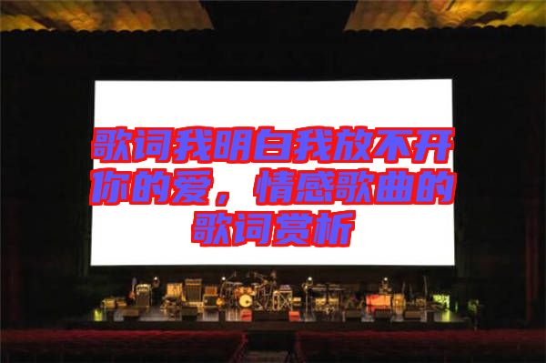 歌詞我明白我放不開(kāi)你的愛(ài)，情感歌曲的歌詞賞析