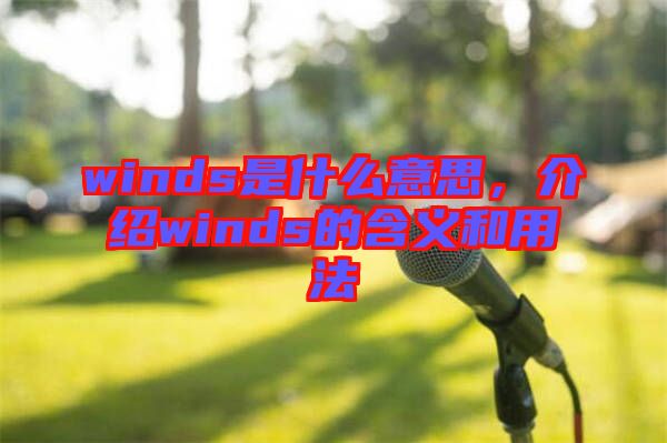winds是什么意思，介紹winds的含義和用法
