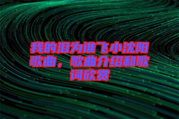 我的淚為誰(shuí)飛小沈陽(yáng)歌曲，歌曲介紹和歌詞欣賞