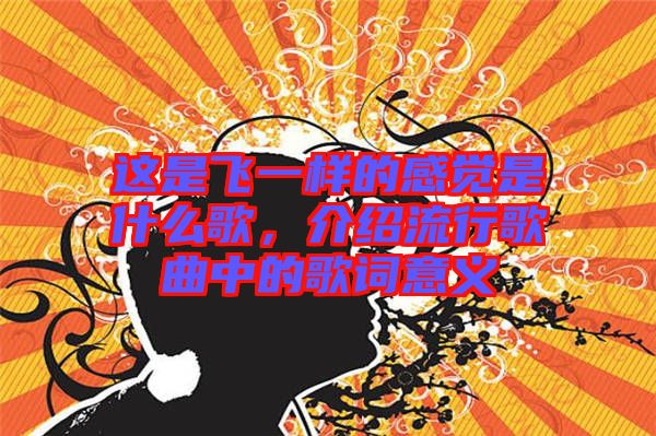 這是飛一樣的感覺(jué)是什么歌，介紹流行歌曲中的歌詞意義
