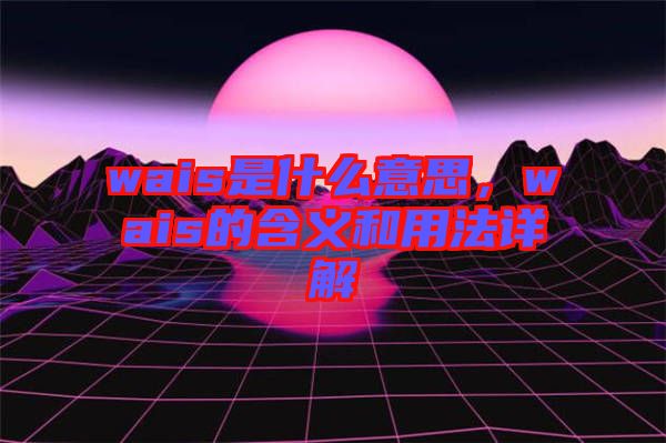 wais是什么意思，wais的含義和用法詳解