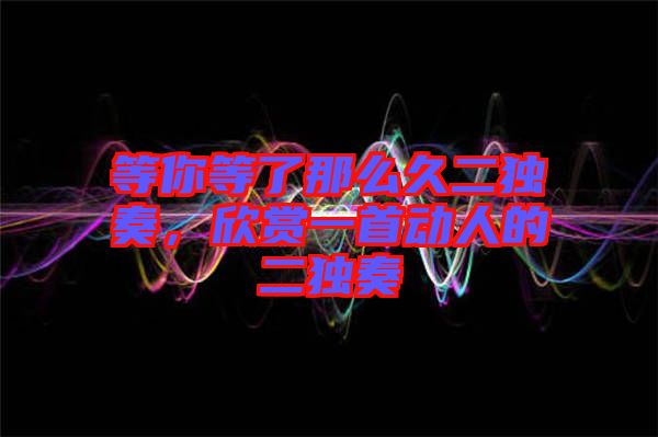等你等了那么久二獨奏，欣賞一首動人的二獨奏