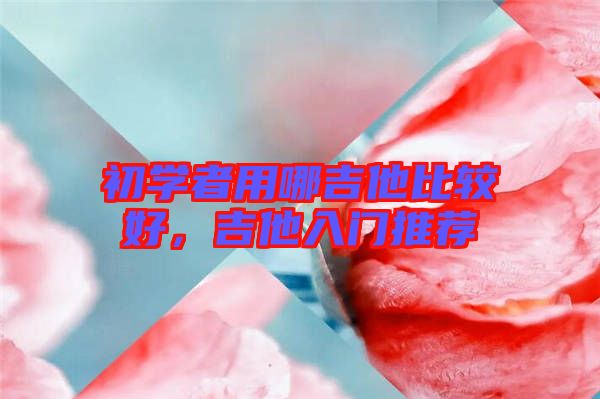 初學(xué)者用哪吉他比較好，吉他入門推薦