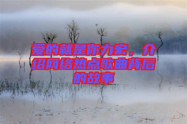 愛(ài)的就是你力宏，介紹網(wǎng)絡(luò)熱點(diǎn)歌曲背后的故事