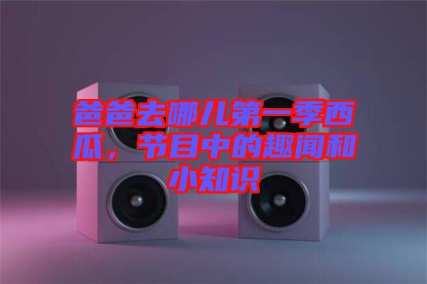 爸爸去哪兒第一季西瓜，節(jié)目中的趣聞和小知識