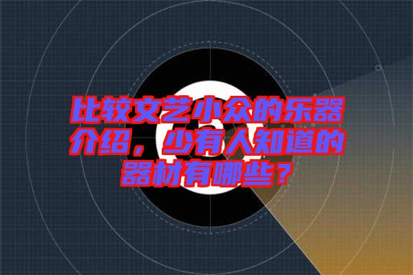 比較文藝小眾的樂器介紹，少有人知道的器材有哪些？