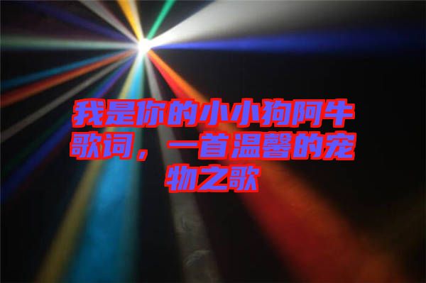 我是你的小小狗阿牛歌詞，一首溫馨的寵物之歌