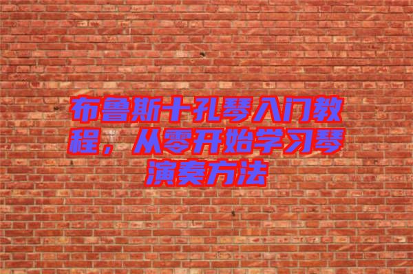 布魯斯十孔琴入門教程，從零開始學(xué)習(xí)琴演奏方法