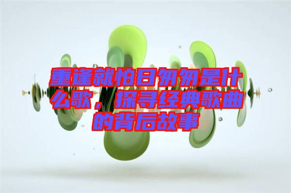 重逢就怕日匆匆是什么歌，探尋經(jīng)典歌曲的背后故事