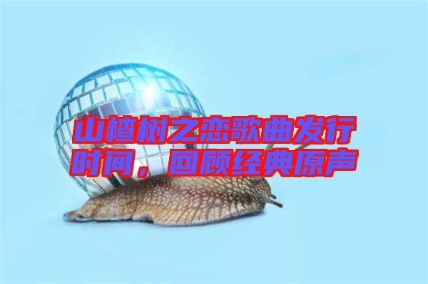 山楂樹之戀歌曲發(fā)行時間，回顧經(jīng)典原聲