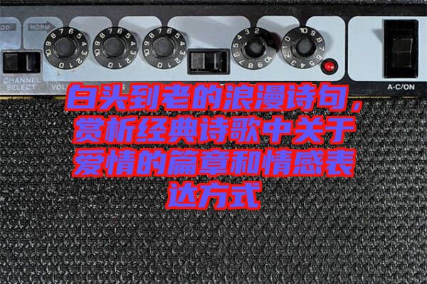 白頭到老的浪漫詩句，賞析經(jīng)典詩歌中關(guān)于愛情的篇章和情感表達(dá)方式