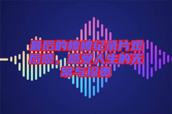 最后的棒棒紀錄片觀后感，感受人生的無常與珍貴