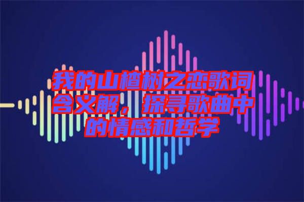 我的山楂樹之戀歌詞含義解，探尋歌曲中的情感和哲學(xué)