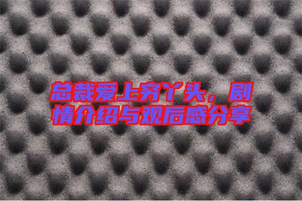 總裁愛(ài)上窮丫頭，劇情介紹與觀后感分享