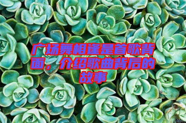 廣場舞相逢是首歌背面，介紹歌曲背后的故事