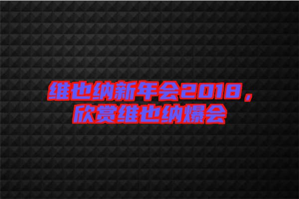 維也納新年會2018，欣賞維也納爆會