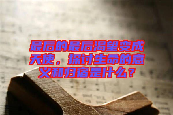 最后的最后渴望變成天使，探討生命的意義和歸宿是什么？
