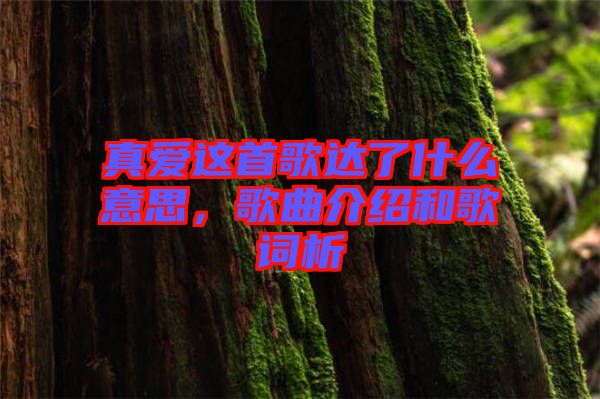 真愛這首歌達了什么意思，歌曲介紹和歌詞析