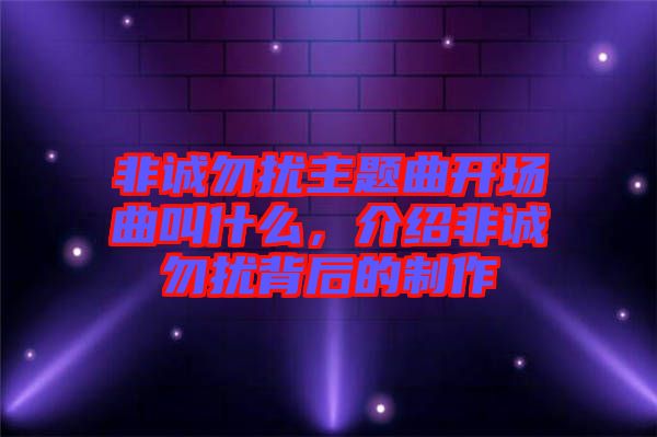 非誠勿擾主題曲開場曲叫什么，介紹非誠勿擾背后的制作
