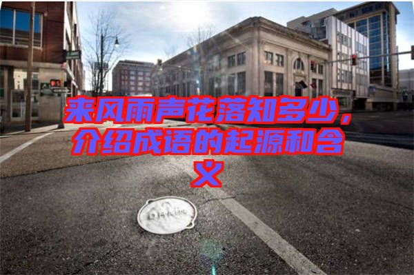 來風雨聲花落知多少，介紹成語的起源和含義