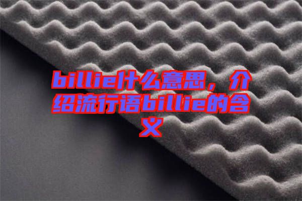 billie什么意思，介紹流行語billie的含義