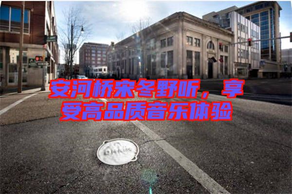 安河橋宋冬野聽，享受高品質(zhì)音樂體驗