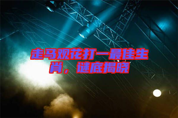 走馬觀花打一最佳生肖，謎底揭曉