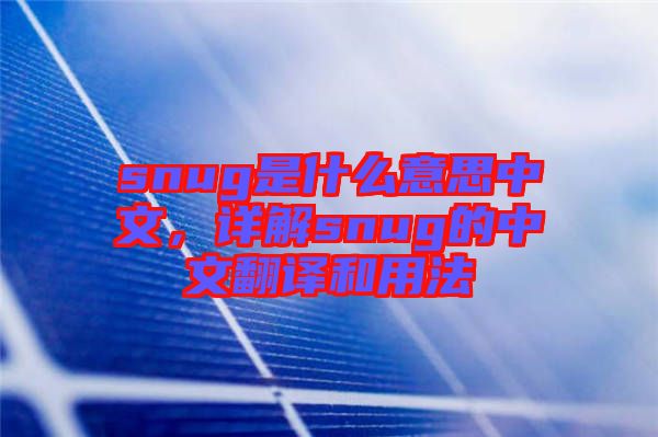 snug是什么意思中文，詳解snug的中文翻譯和用法