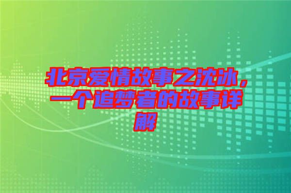 北京愛情故事之沈冰，一個追夢者的故事詳解