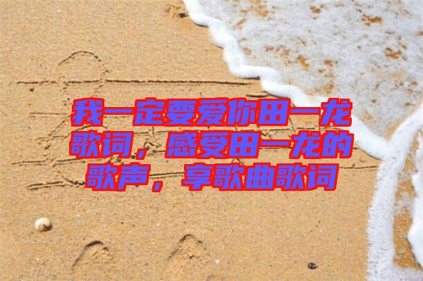 我一定要愛(ài)你田一龍歌詞，感受田一龍的歌聲，享歌曲歌詞