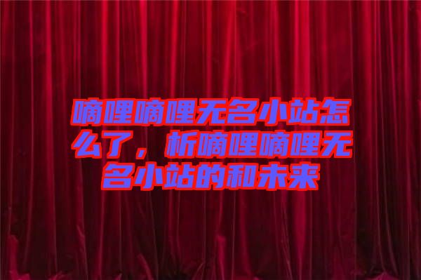 嘀哩嘀哩無名小站怎么了，析嘀哩嘀哩無名小站的和未來