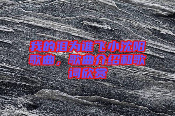 我的淚為誰飛小沈陽歌曲，歌曲介紹和歌詞欣賞