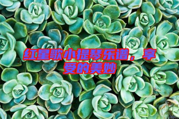 紅星歌小提琴樂譜，享受的美妙
