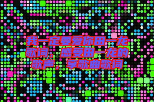 我一定要愛(ài)你田一龍歌詞，感受田一龍的歌聲，享歌曲歌詞