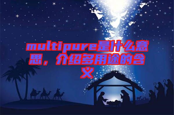 multipure是什么意思，介紹多用途的含義