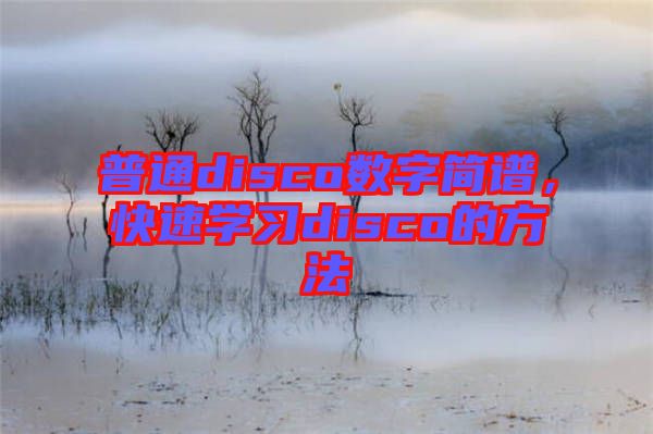 普通disco數(shù)字簡譜，快速學習disco的方法