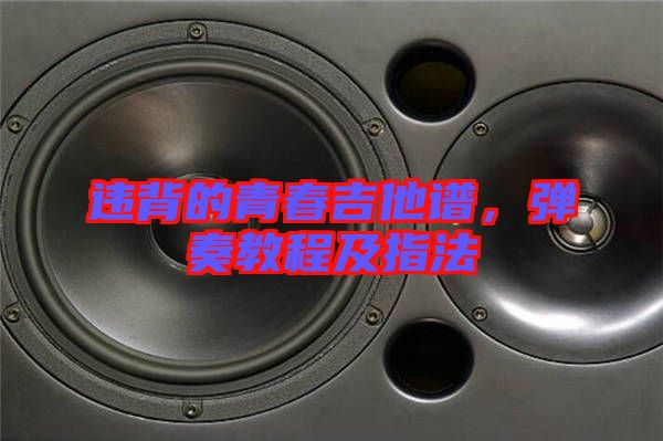 違背的青春吉他譜，彈奏教程及指法