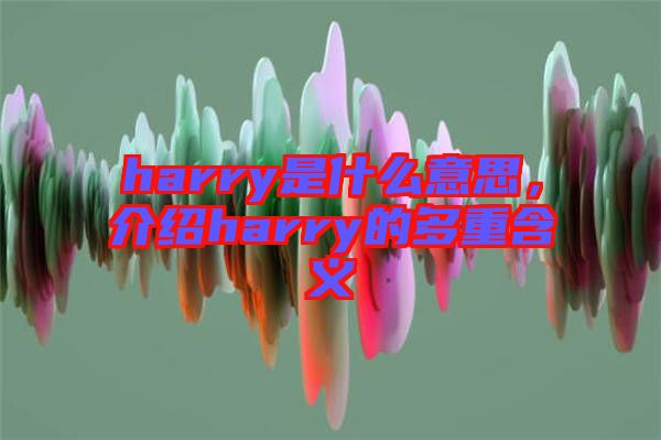harry是什么意思，介紹harry的多重含義