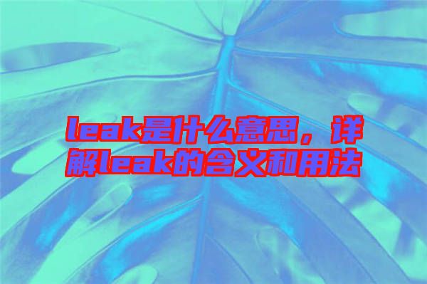 leak是什么意思，詳解leak的含義和用法